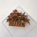 Dino ゲストハウス 3*